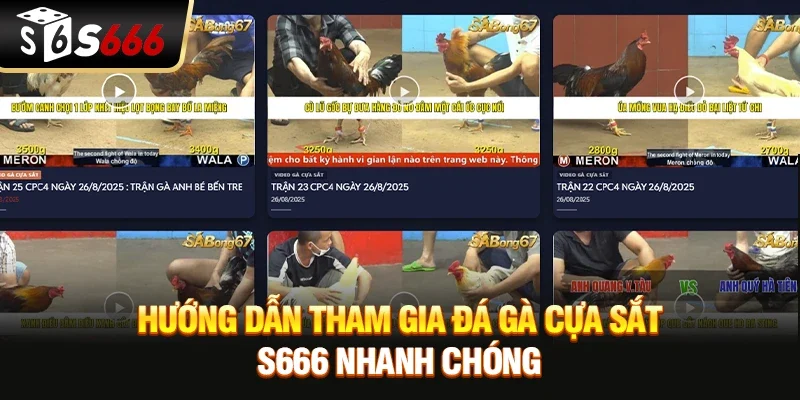 Hướng dẫn tham gia Đá gà cựa sắt S666 nhanh chóng